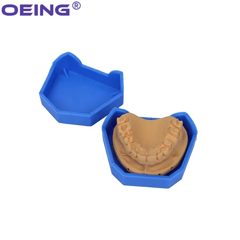 2/6Pcs Dental Model Base Silic - Teeth Whitening Tray 评论和价格