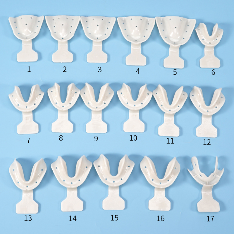 17Pcs Dental Impression Trays  - Teeth Whitening Tray 评论和价格