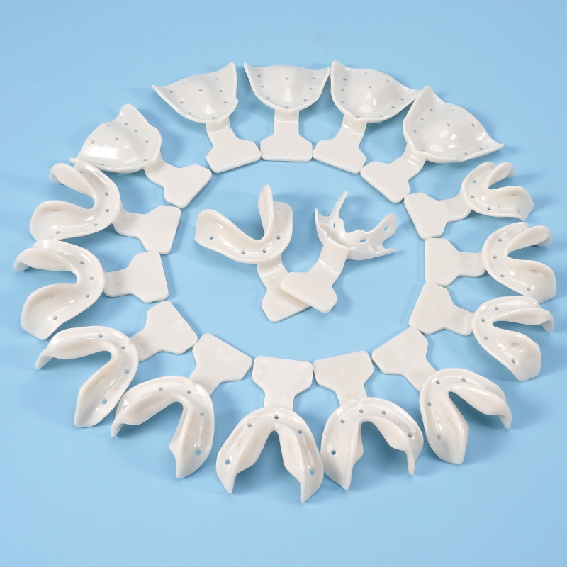 17Pcs Dental Impression Trays  - Teeth Whitening Tray 评论和价格