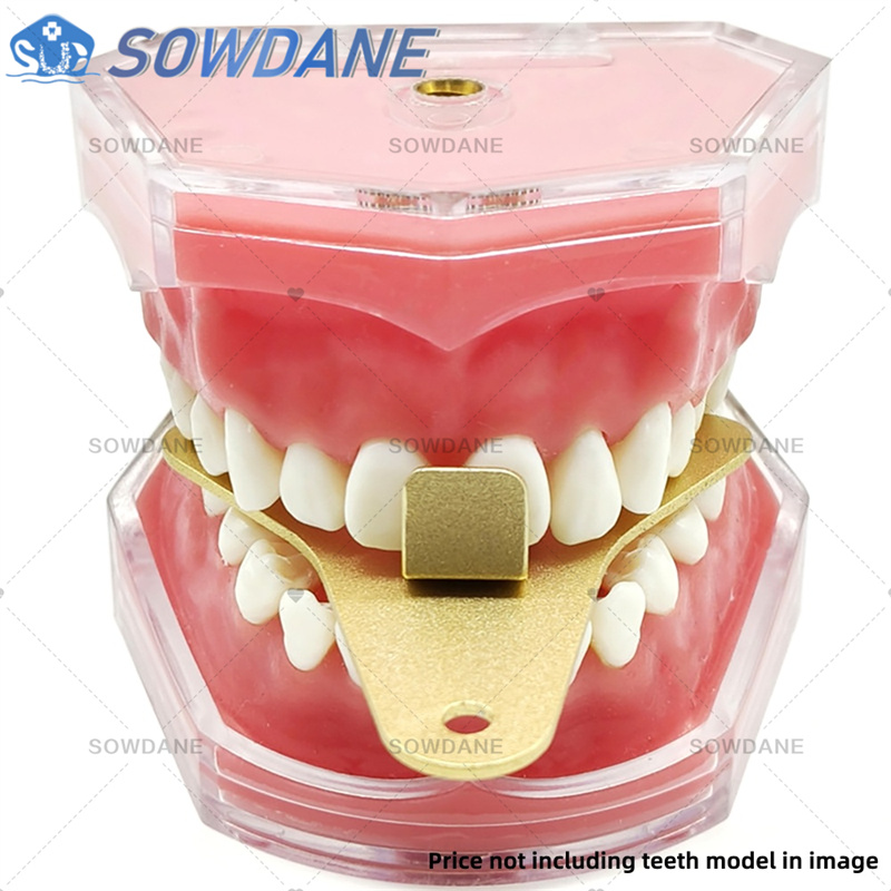 Dental Lab Impression Trays to - Teeth Whitening Tray 评论和价格