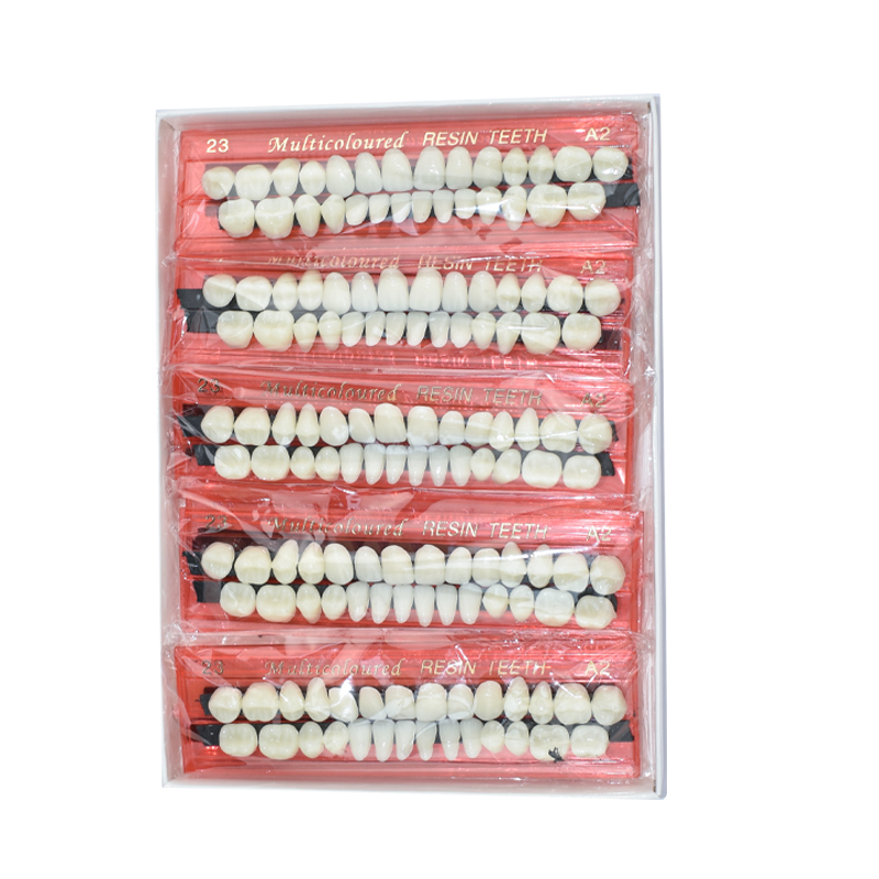 28 Teeth Dental Resin Denture  - Teeth Whitening Shade Guide 评论和价格