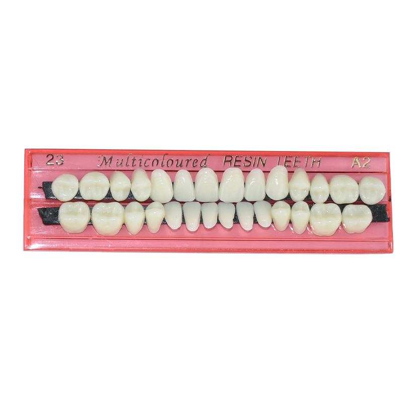 28 Teeth Dental Resin Denture  - Teeth Whitening Shade Guide 评论和价格