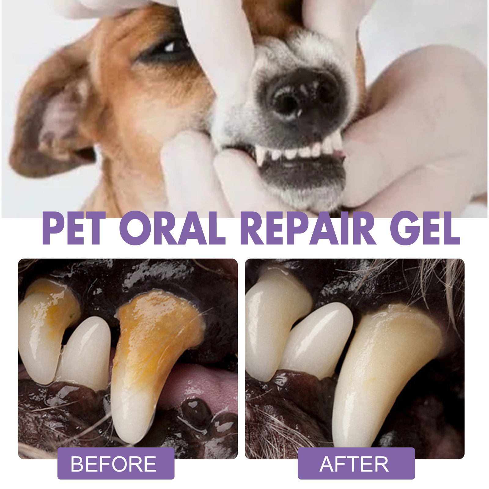 Pet Oral Repair Gel Puppy Tart - Teeth Whitening App 评论和价格