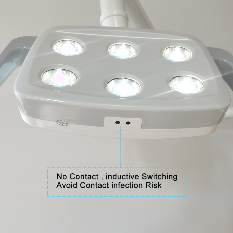 6LED Dental LED Lamp Oral Ligh - Teeth Whitening Lamp 评论和价格