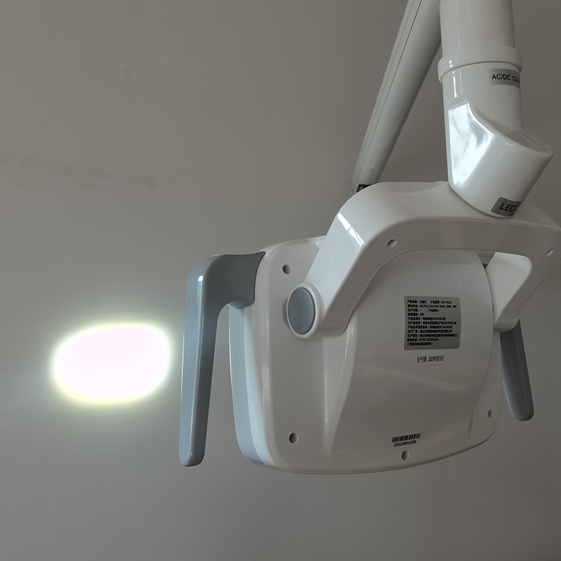 6LED Dental LED Lamp Oral Ligh - Teeth Whitening Lamp 评论和价格