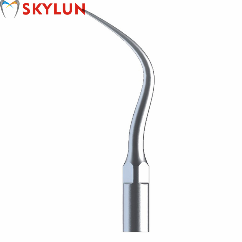 5PCS P4 Dental Ultrasonic Scal - Teeth Whitening Dental 评论和价格